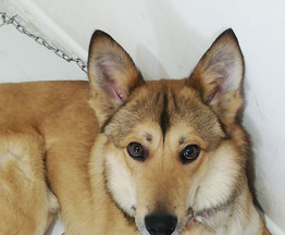 ���� ���� ���� ��� - ���� 1 � ����������