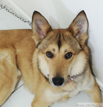 ���� ���� ���� ��� - ���� 1 � ����������