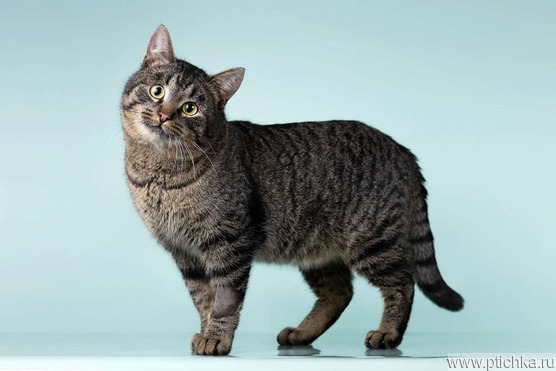 ����� ���� ���������� ������ - ���� 1 � ����������