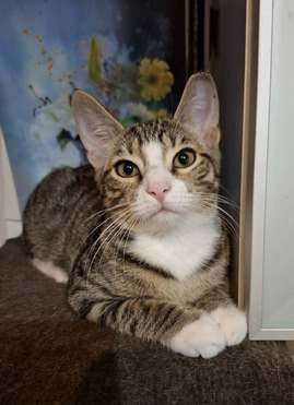 ��������� ��������� ���� ���� ������ ��� - ���� 1 � ����������