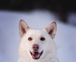 ��������� ���� � ������ ����. - ���� 1 � ����������