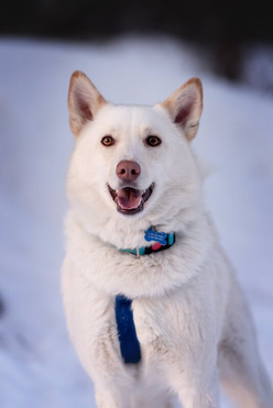 ��������� ���� � ������ ����. - ���� 1 � ����������