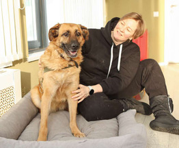 ������ ���� ���������� ������ - ���� 1 � ����������