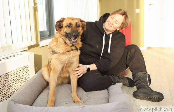 ������ ���� ���������� ������ - ���� 1 � ����������