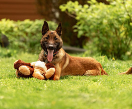 ��������� ����� ���� ���. - ���� 1 � ����������