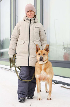 ������������ ��������������� ������ (��������) ���� ���������� ������ - ���� 1 � ����������