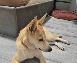 ������ ���� ���������� ������ - ���� 1 � ����������