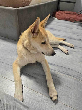 ������ ���� ���������� ������ - ���� 1 � ����������