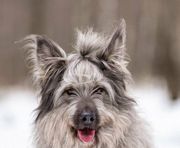 �������� ������ � ������ ����. - ���� 1 � ����������