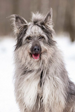 �������� ������ � ������ ����. - ���� 1 � ����������