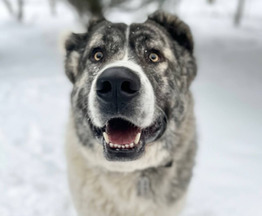 ���������� �������� � ������ ����. - ���� 1 � ����������