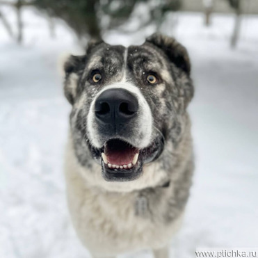 ���������� �������� � ������ ����. - ���� 1 � ����������