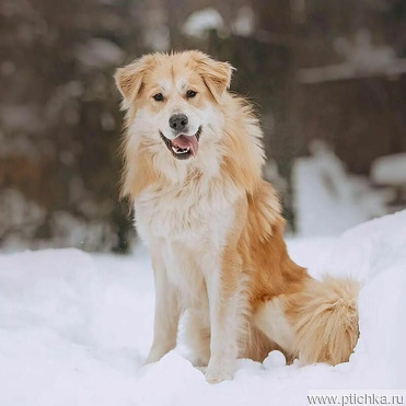 �������� �� ������ � ������ ����. - ���� 1 � ����������