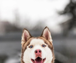 ��������� ����� ���� � ������ ����. - ���� 1 � ����������