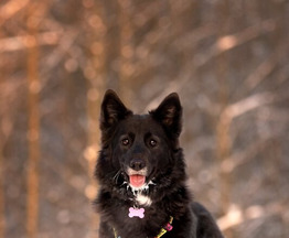 ��������� ���� � ������ ����. - ���� 1 � ����������