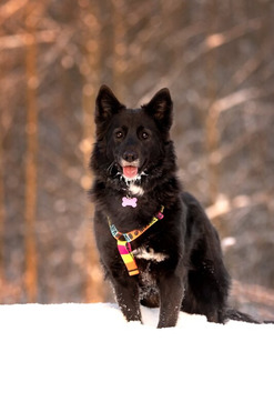 ��������� ���� � ������ ����. - ���� 1 � ����������