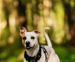 �������� �� ����� � ������ ����. - ���� 1 � ����������