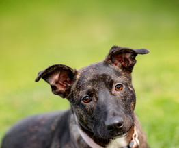 ����, �������, 7 ���. ���� ���. - ���� 1 � ����������