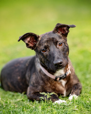 ����, �������, 7 ���. ���� ���. - ���� 1 � ����������