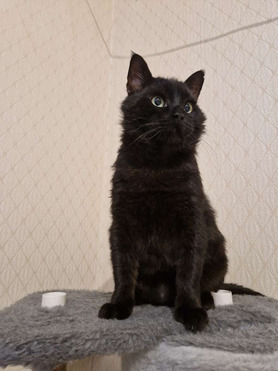 ����� ���� ���������� ������ - ���� 1 � ����������