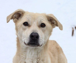 �������� � ������� ����� ��������� - ���� 1 � ����������