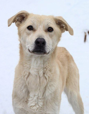 �������� � ������� ����� ��������� - ���� 1 � ����������