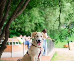 Ը��� ���� ��� - ���� 1 � ����������