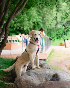 Ը��� ���� ��� - ���� 1 � ����������