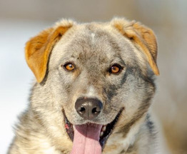 ���������� ����� - ���� 1 � ����������