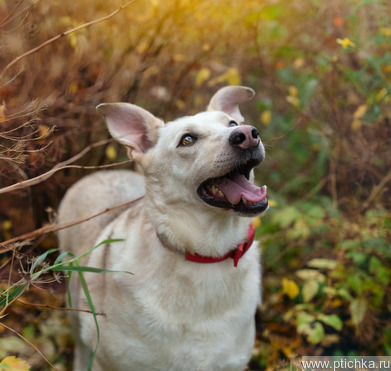 ������ ������� � ��� � ���� ��� - ���� 1 � ����������