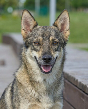 ���� - ����������� �������, � ����� ������ ������� - ���� 1 � ����������