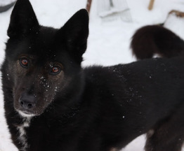 ��������� �������� � ����� ������ ������ - ���� 1 � ����������