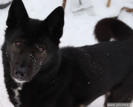 ��������� �������� � ����� ������ ������ - ���� 1 � ����������