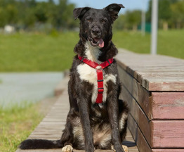 �����. ��������� ������ ��� ��������! - ���� 1 � ����������