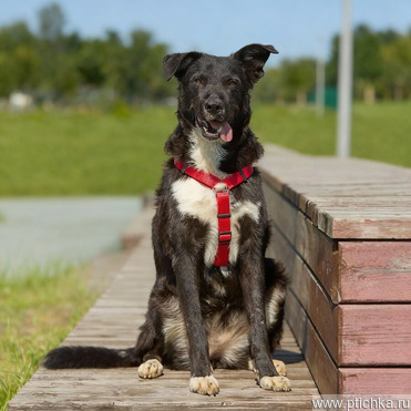 �����. ��������� ������ ��� ��������! - ���� 1 � ����������