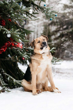 ������ ���� ���������� ������ - ���� 1 � ����������