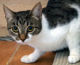 ������������ ��������� ������ ���� ������ ��� - ���� 1 � ����������