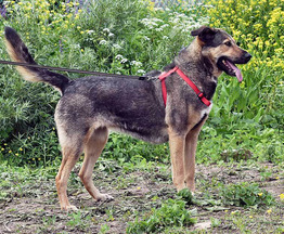 ������ ���� ���������� ������ - ���� 1 � ����������