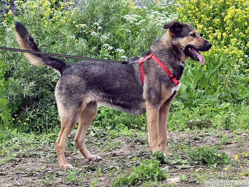 ������ ���� ���������� ������ - ���� 1 � ����������