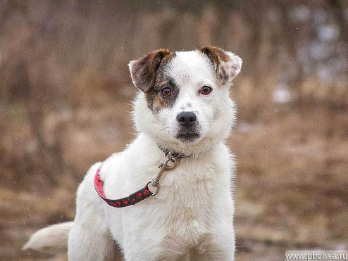 ������ ���� ���������� ������ - ���� 1 � ����������