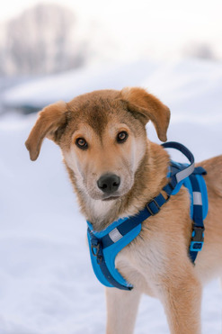 ������ ���� ���������� ������ - ���� 1 � ����������