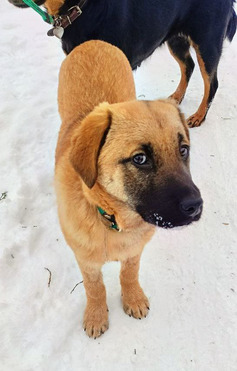 ����� ���� ���� ���������� ������ - ���� 1 � ����������