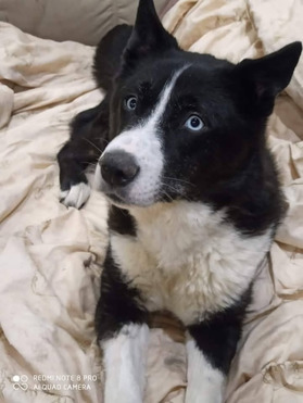 ������, ����� �����, � ������ ���� - ���� 1 � ����������