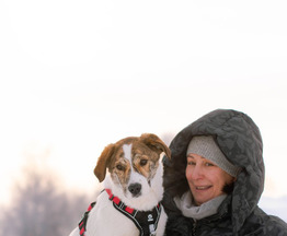 ������ ���� ���������� ������ - ���� 1 � ����������