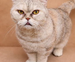 ������������ ��� �������������� ������� �������! - ���� 1 � ����������