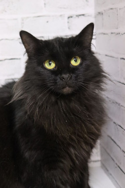 ���� ��� �������������� ������� �������� - ���� 1 � ����������