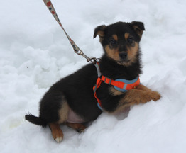 ���������� �������� ������� ����� ����� ��� � ����� - ���� 1 � ����������