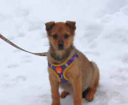 ������� ����� ���� ���� ������� ����� ! - ���� 1 � ����������