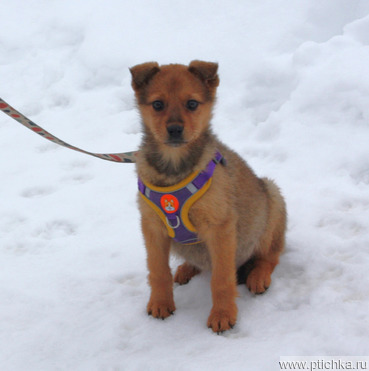 ������� ����� ���� ���� ������� ����� ! - ���� 1 � ����������