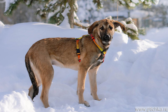 ������ ���� ���������� ������ - ���� 1 � ����������